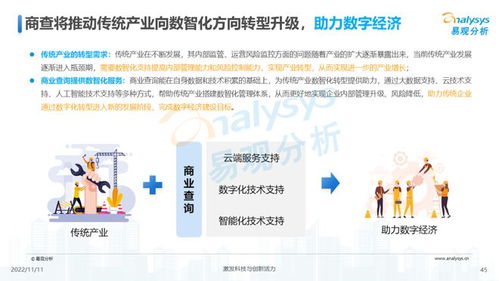 透視用戶需求，深挖服務(wù)潛力 2022中國商業(yè)查詢行業(yè)洞察